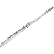 Roland Aerophone Brisa Digital Wind Instrument