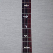 PRS Custom 24 Piezo 10-Top Solid Body Guitar - Aurora Borealis - #250403191