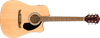FA-125CE Dreadnought
