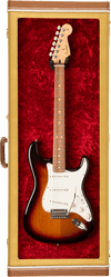 Guitar Display Cases