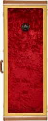 Guitar Display Cases