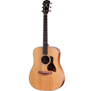 Taylor Gold Label 510e Mahogany/Spruce Acoustic Electric Guitar - Natural