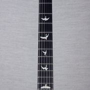 PRS S2 Vela Custom Color Electric Guitar - Frost Green - #24S2079251