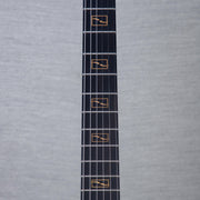 Taylor NAMM 2025 Custom Catch #27 T5z Semi-Hollowbody Acoustic Electric Guitar - #1210024105