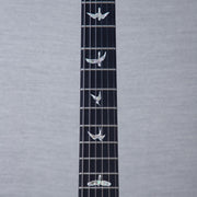 PRS Custom 24 Floyd 10-Top Electric Guitar - Aurora Borealis - #250407026