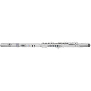 Roland AE-BRISA Aerophone Brisa Digital Wind Instrument