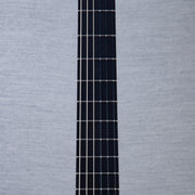 Godin MultiAc Grand Concert SA Nylon String Acoustic-Electric Guitar - Trans Black - CHUCKSCLUSIVE - #26317995