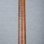 PRS Wood Library DGT Electric Guitar - Private Stock Frostbite Finish - CHUCKSCLUSIVE - #240388861