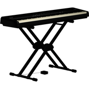 Roland FP-40-BK Digital Piano - Black