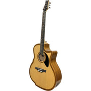 Riversong P2P-GA The River Pacific - Acoustic/Electric Cutaway Guitar with Bag