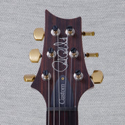 PRS Custom 24 Piezo 10 Top Electric Guitar - Eriza Verde - #220354674