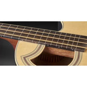 Warwick RockBass Alien Standard 4-String Acoustic Electric Bass Guitar - Natural Transparent Satin