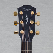 Taylor 414ce Limited Edition Grand Auditiorium Acoustic Guitar - Watermelon King - CHUCKSCLUSIVE