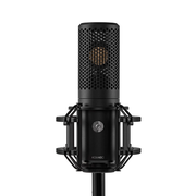 Shure KSM40C Large Diaphragm Cardioid Condenser Microphone