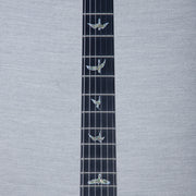 PRS Wood Library Custom 24 Electric Guitar - Private Stock Frostbite Finish - CHUCKSCLUSIVE - #240383982
