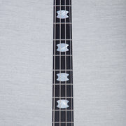Spector USA NS-2X Electric Bass Guitar - Scary Burst