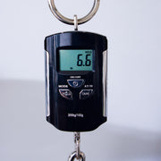 Godin MultiAc Grand Concert SA Nylon String Acoustic-Electric Guitar - Trans Black - CHUCKSCLUSIVE - #26317993