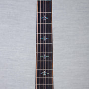 Taylor Bulder's Edition 914ce Indian Rosewood/Lutz Spruce Acoustic Electric Guitar - Wild Honey Burst - #1209164083