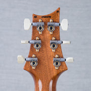 PRS Custom 24 10-Top Solid Body Electric Guitar - Aurora Borealis - #0410275
