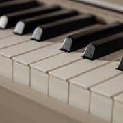 Casio AP-750 Celviano 88-Key Digital Piano - Gray Beige w/ Cover