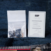 ESP Custom Shop Vampire Double Arrow Electric Guitar - #E9810251