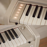 Casio AP-750 Celviano 88-Key Digital Piano - Gray Beige w/ Cover