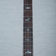 PRS Wood Library DGT Electric Guitar - Private Stock Salmon Finish - CHUCKSCLUSIVE - #240385593 - 2024
