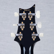 PRS Custom 24 10-Top Electric Guitar - Purple Mist - #240381957 - 2024