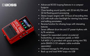 Boss RC-5 Loop Station w/ Instrument Cable