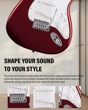 Fender Standard Stratocaster - Candy Cola w/ Guitar Cleaning Kit