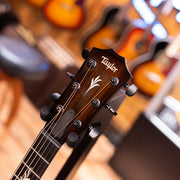 Taylor NAMM 2023 Custom #25 C22e B3025 Acoustic Electric Guitar with Circa '74 AV150-10 Combo Acoustic Guitar Amplifier