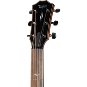 Taylor Next Generation 814ce Acoustic Electric Guitar - Natural