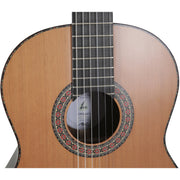 Manuel Rodriguez Magistral F-C Palisander Acoustic Guitar - Solid Cedar Top