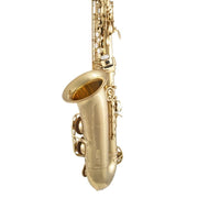 Selmer SAS511 Alto Saxophone