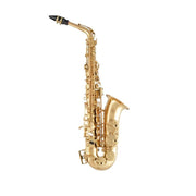 Selmer SAS511 Alto Saxophone