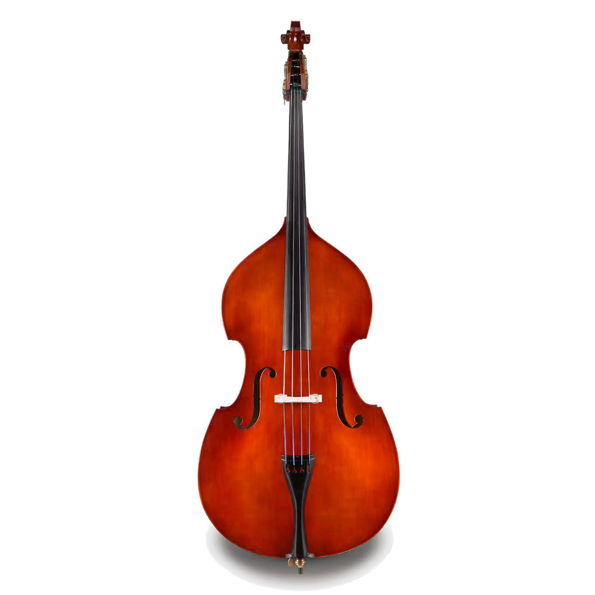 Eastman Strings Model 80 Student Double Bass Outfit - 1/2 Size