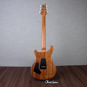 PRS Custom 24-08 10-Top Solid Body Guitar - Aurora Borealis - #250410253