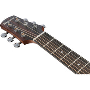 Ibanez AAD54E AAD Acoustic Electric Guitar - Open Pore Mahogany Sunburst