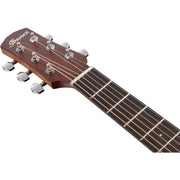 Ibanez AAM54CE Advanced Acoustic Series Acoustic Electric, Open Pore Natural