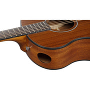Ibanez AAM54OPN Advanced Acoustic Series Acoustic Guitar, Open Pore Natural