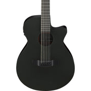 Ibanez AEG1221 AEG 12-String Acoustic Electric Guitar - Black Out