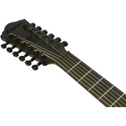 Ibanez AEG1221 AEG 12-String Acoustic Electric Guitar - Black Out