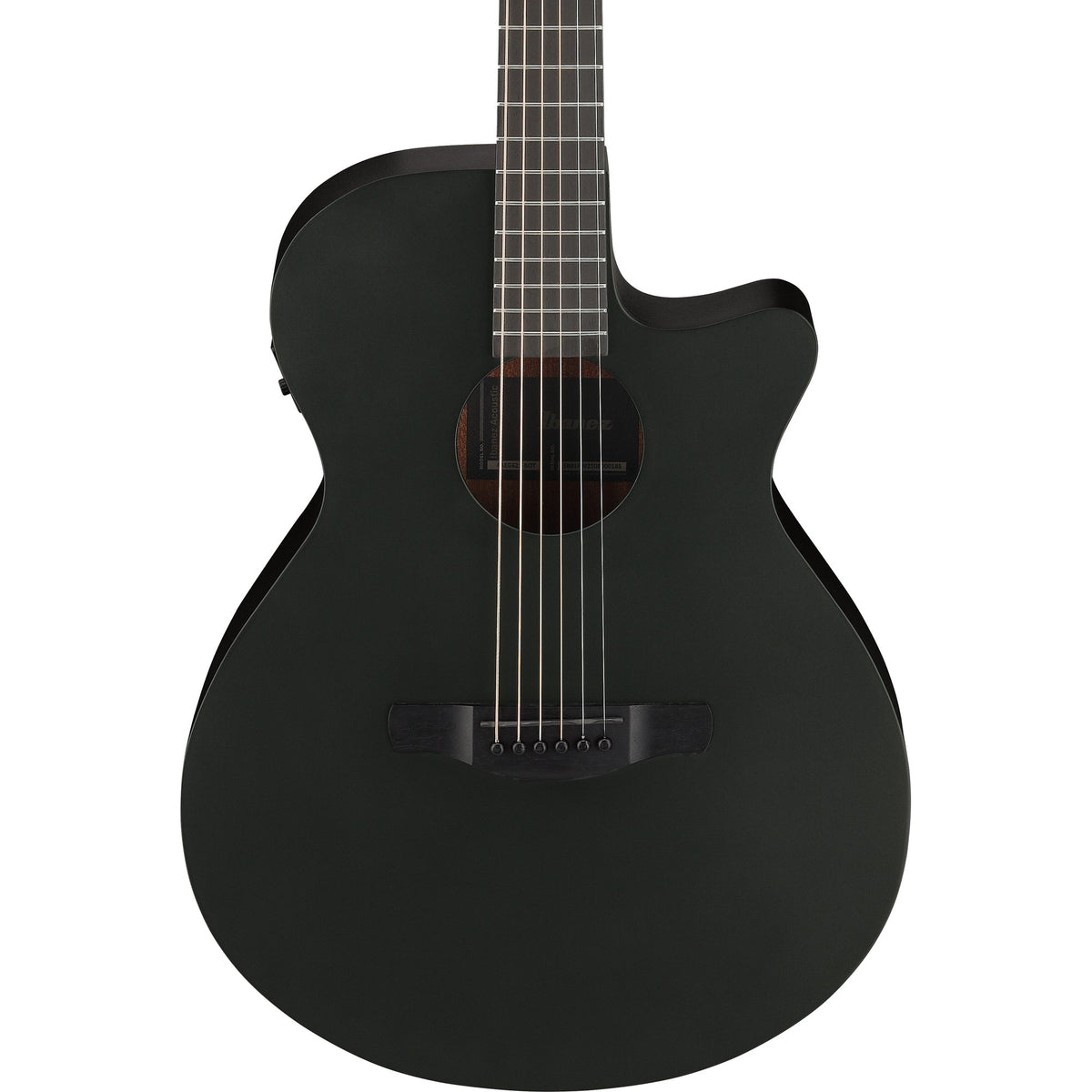 Ibanez AEG621 AEG Acoustic Electric Guitar - Black Out