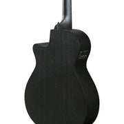 Ibanez AEG621 AEG Acoustic Electric Guitar - Black Out