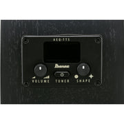 Ibanez AEG621 AEG Acoustic Electric Guitar - Black Out