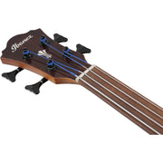 Ibanez AEGB24FE Acoustic Electric Bass, Mahogany Sunburst High Gloss