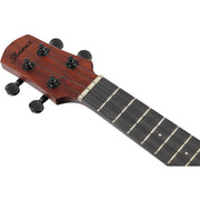 Ibanez AUC14OVL Concert Ukulele, Open Pore Violin Sunburst