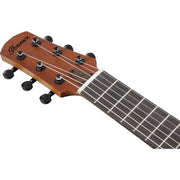 Ibanez AUP10NOPN Tenor Ukulele, Open Pore Natural