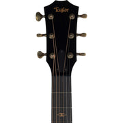 Taylor C414ce B4043 2024 NAMM Custom Acoustic Electric Guitar, Wild Honey Burst