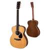 Eastman E20OM - Thermo Cure Natural